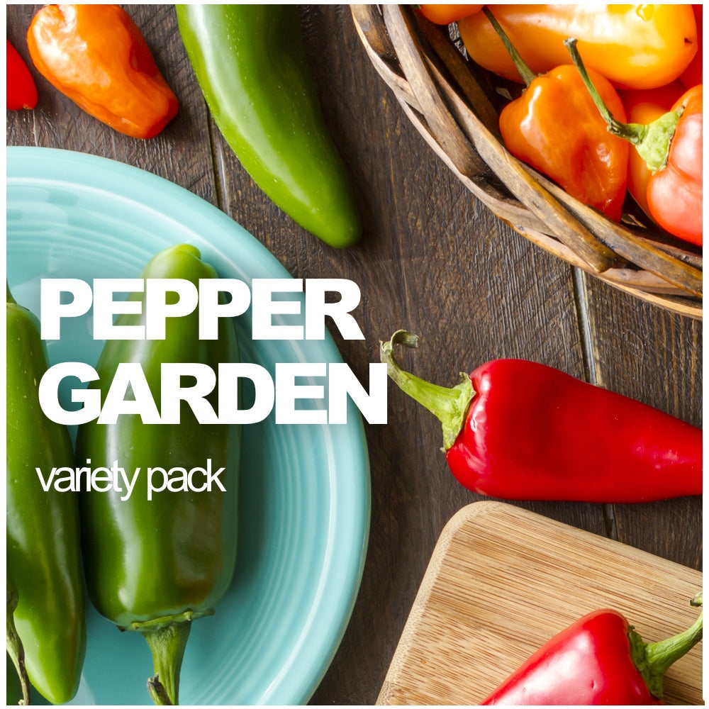 Assorted hot and sweet pepper seeds variety pack with multiple colorful pepper types