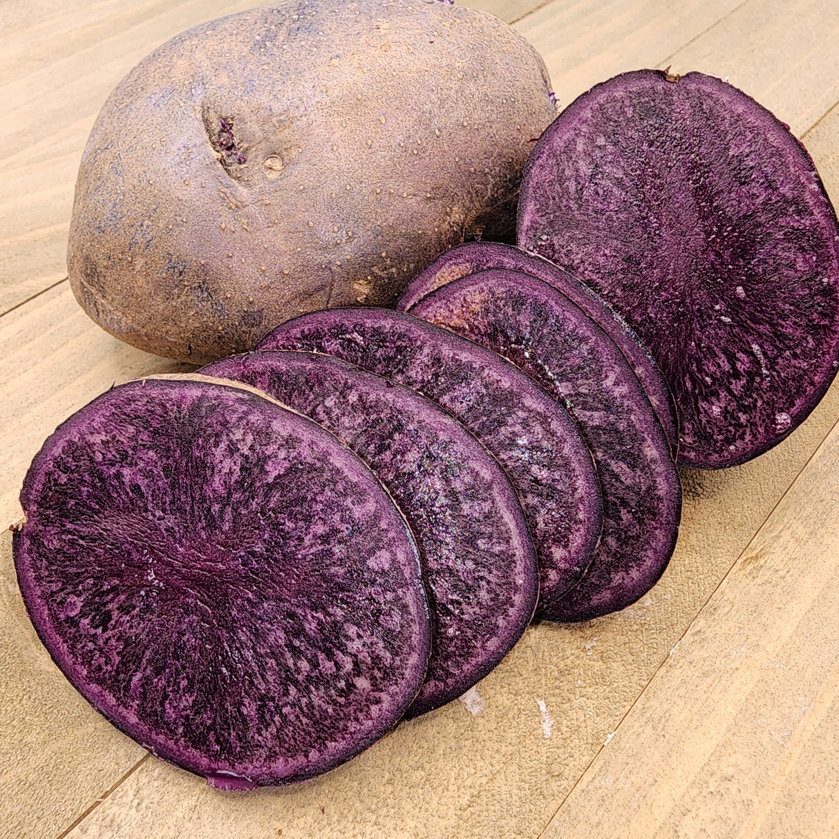 Potato (Mid-Season) - Purple Majesty (Organic rounds) *pre-order*