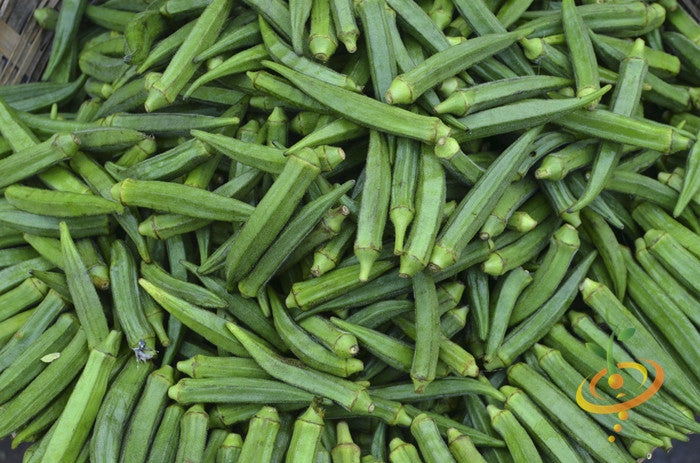 Fresh green dwarf long pod okra stacked together for seeds packaging