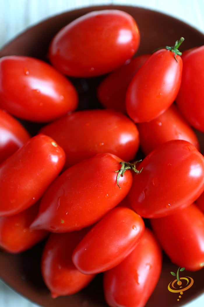 Close-up of bright red Rio Grande Tomato plum-shaped fruits in a bowl