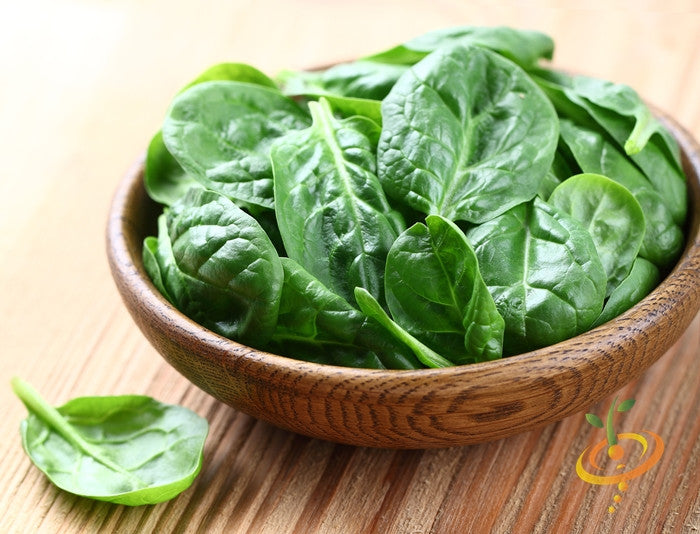 Fresh dark green spinach leaves in a wooden bowl representing Spinach - Noble Giant seeds