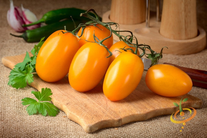 Cluster of ripe yellow pear tomatoes on vine placed on wooden cutting board with parsley leaves nearby