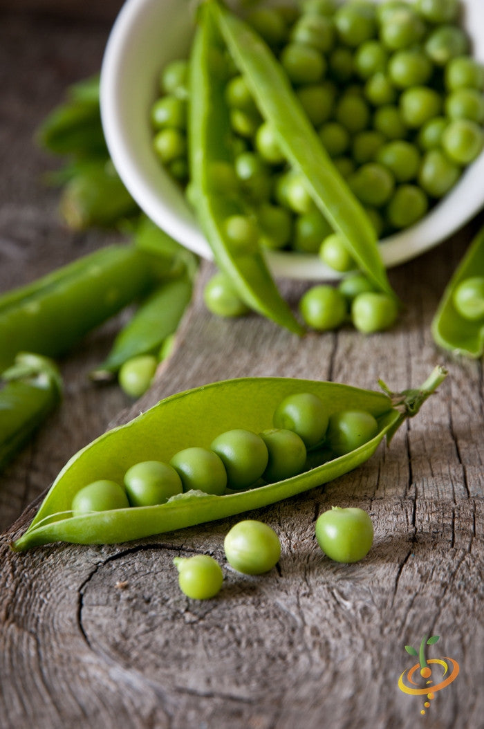 Fresh Sugar Ann snap pea seeds from SeedsNow, ideal for planting and growing crisp, sweet peas in your garden.
