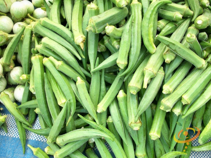 Fresh green okra dwarf long pod variety piled together