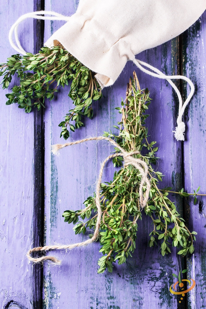 Fresh thyme herb bundles tied with string and spilling from a cloth bag on a purple wooden surface