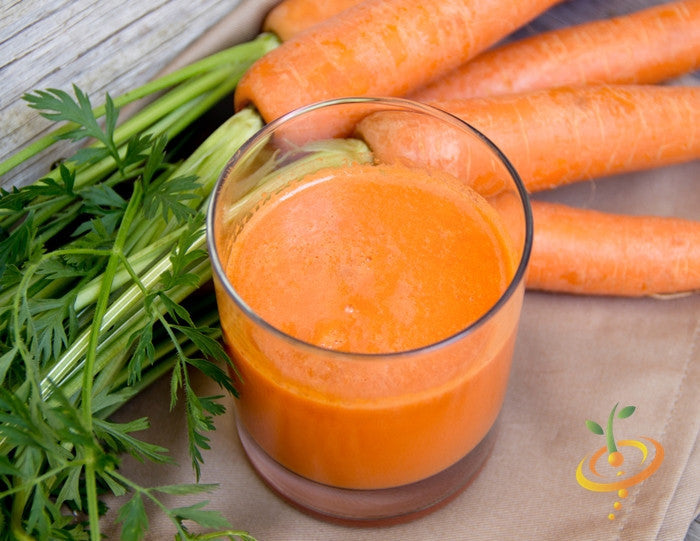 Fresh Danvers carrot seeds from SeedsNow, 7 inches long, shown in a close-up image with vibrant orange color and leafy tops.
