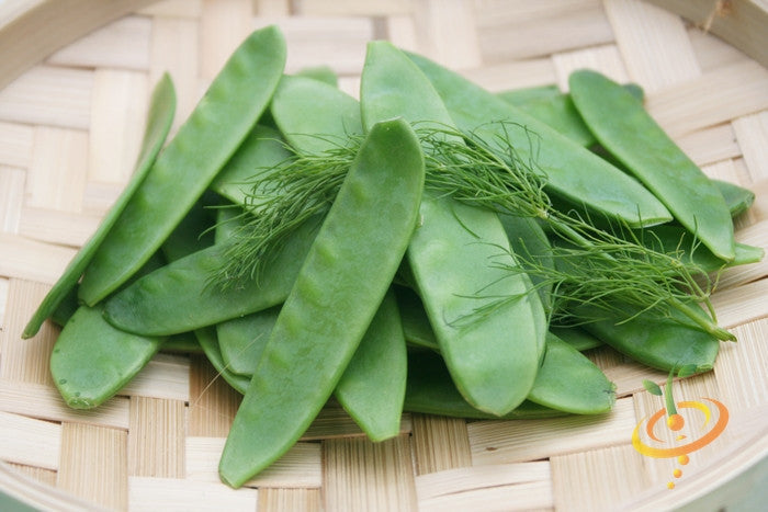 Oregon Giant snow pea seeds from SeedsNow, fresh pea seeds with vibrant green peas in pods.