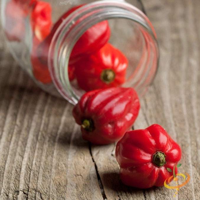Bright red Scotch Bonnet hot peppers spilling from a glass jar on rustic wooden surface representing world's hottest peppers variety pack