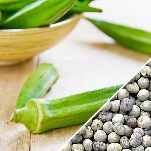 Fresh green Clemson Spineless okra pods with close-up of okra seeds