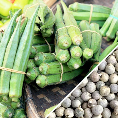 Bundles of fresh Dwarf Long Pod okra and close-up of okra seeds for planting