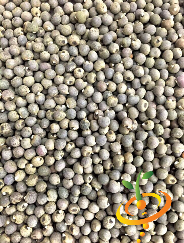Close-up of Dwarf Long Pod okra seeds for planting