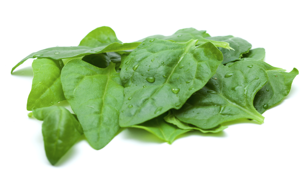 Fresh green New Zealand spinach leaves from SeedsNow, showcasing vibrant, healthy spinach ready for harvest.