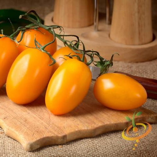 Cluster of ripe Yellow Pear Tomatoes on a wooden cutting board