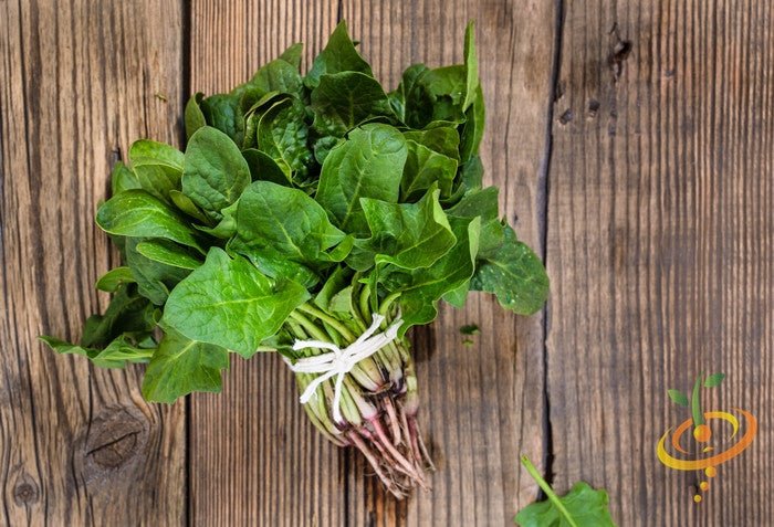 Fresh green spinach leaves from SeedsNow, showcasing healthy American spinach seeds on a natural background.