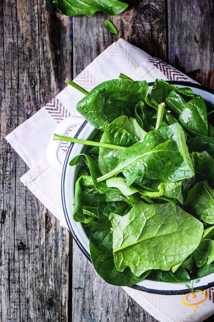 Fresh green spinach leaves from SeedsNow, showcasing vibrant, healthy spinach plants ready for harvest.