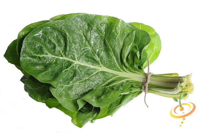 Fresh winter giant spinach seeds from SeedsNow, showing vibrant green spinach leaves ready for planting.