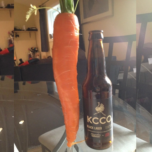 Shop James Scarlet St. Valery Carrot seeds to order online in the USA. French heirloom, 12” long, smooth. Open-pollinated, USA-quality, NON-GMO organic seeds & more!