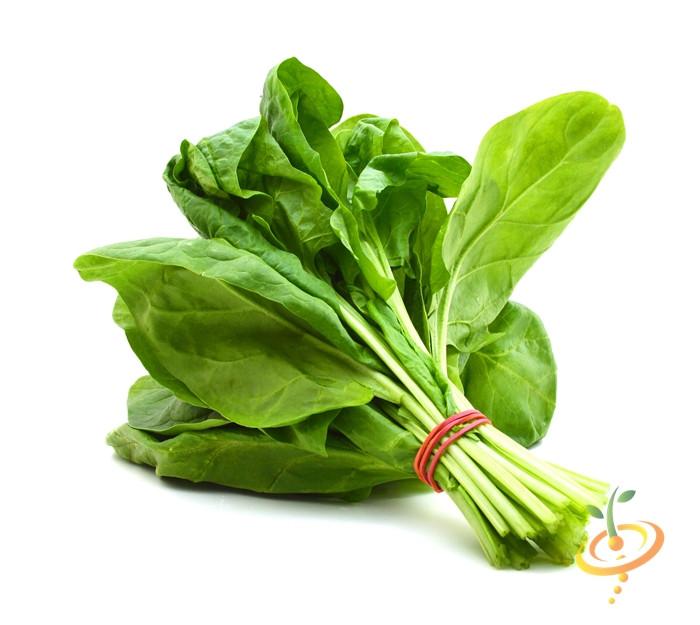 Buy fresh Monstrous Viroflay spinach seeds online from the USA now!