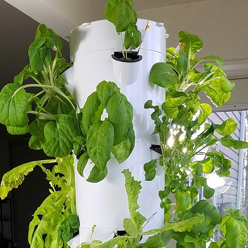 How to Plant a Vertical Tower Garden