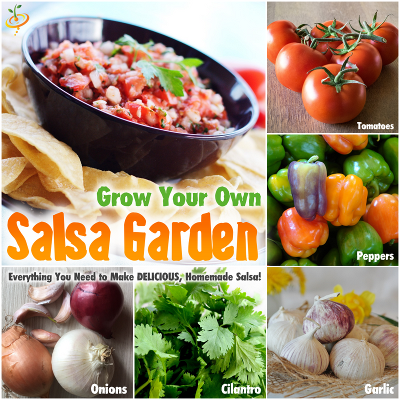 How to Grow Your Own Salsa Garden