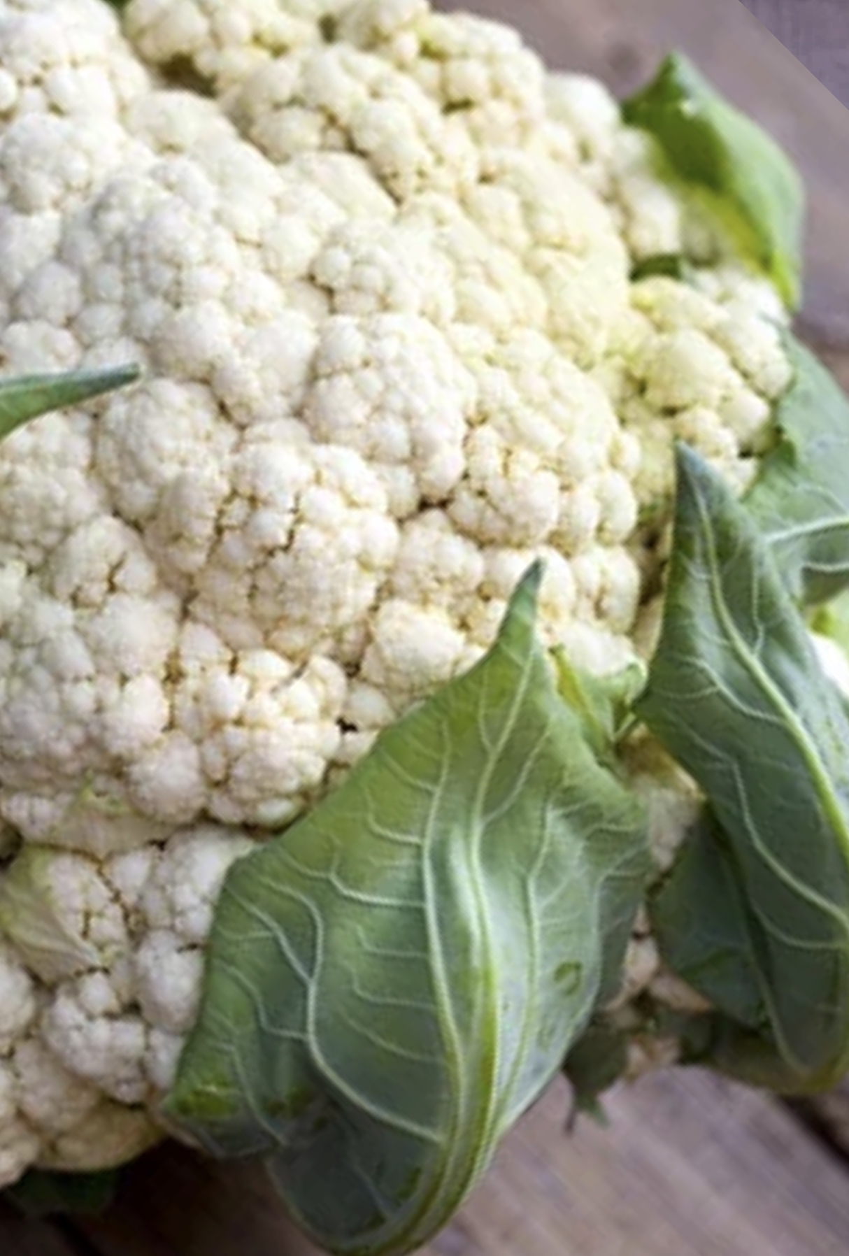 All Cauliflower Seeds