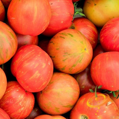 Tomato - Tigerella (Indeterminate)