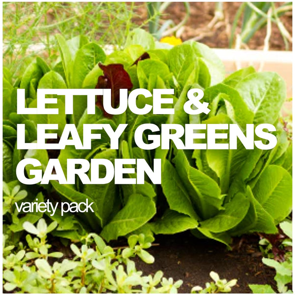 All-in-One Lettuce & Leafy Greens Variety Pack