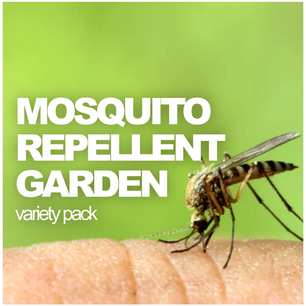 All-in-One Mosquito Repellent Garden Variety Pack - SeedsNow.com