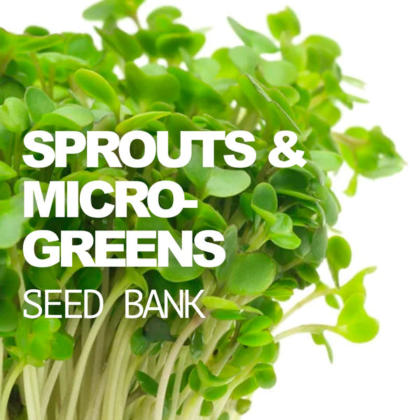 All-in-One Sprouts/Microgreens Seed Bank w/Sprouting Jar