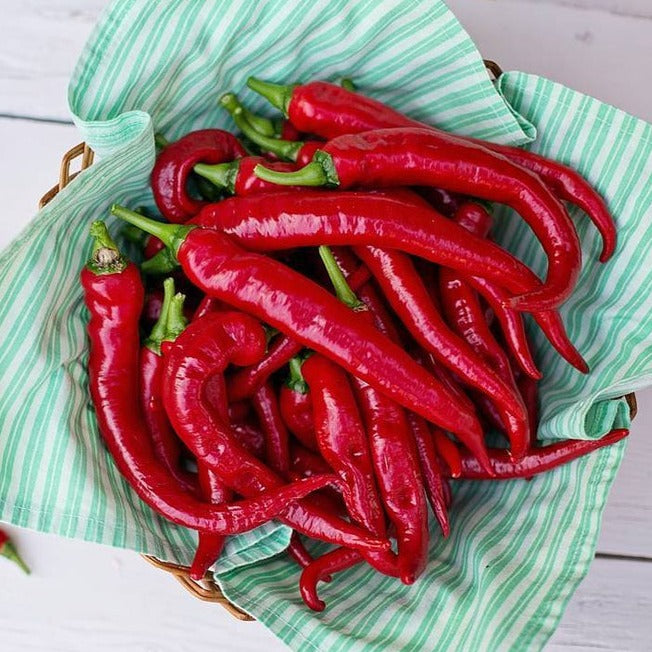 Pepper (Hot) - Cayenne, Red 🔥🔥🔥