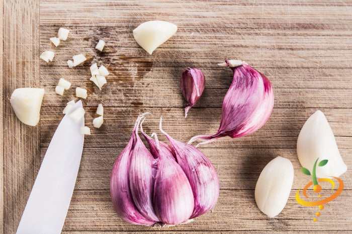 Garlic - (Soft Neck) Early Purple Italian (Organic) *PRE-ORDER* - SeedsNow.com