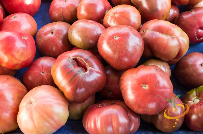 Tomato - Cherokee Purple [INDETERMINATE].