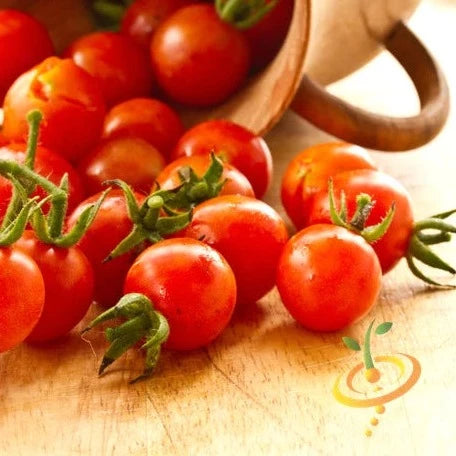 Red cherry tomato seeds, small indeterminate variety from SeedsNow, shown in a close-up image with vibrant red tomatoes.