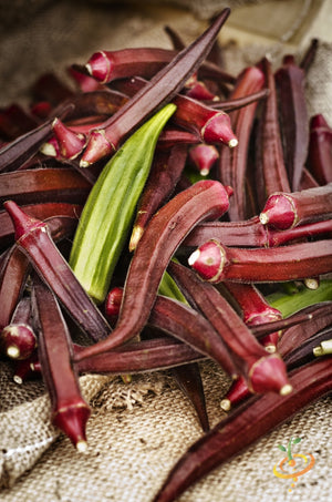 Okra - Red Burgundy.