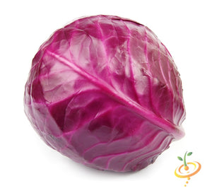 Cabbage - Acre, Red.