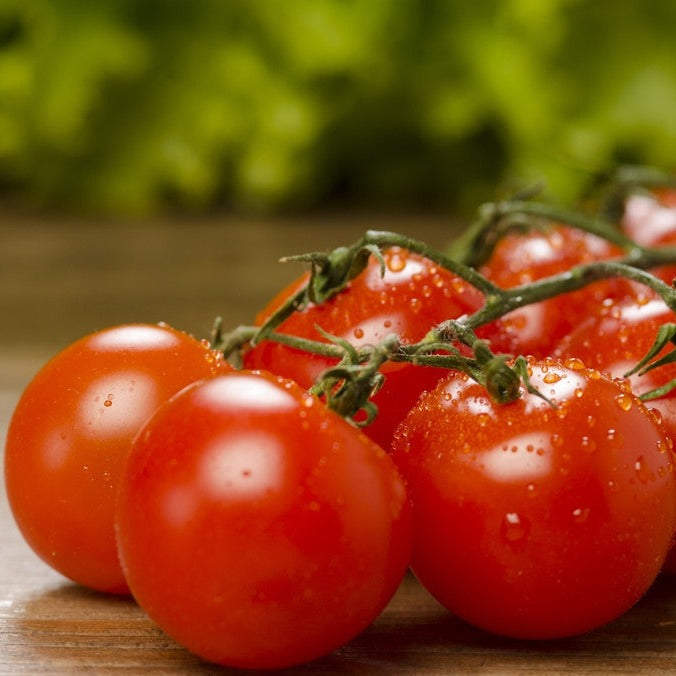 Tomato - Cherry, Red (Large) (Indeterminate)