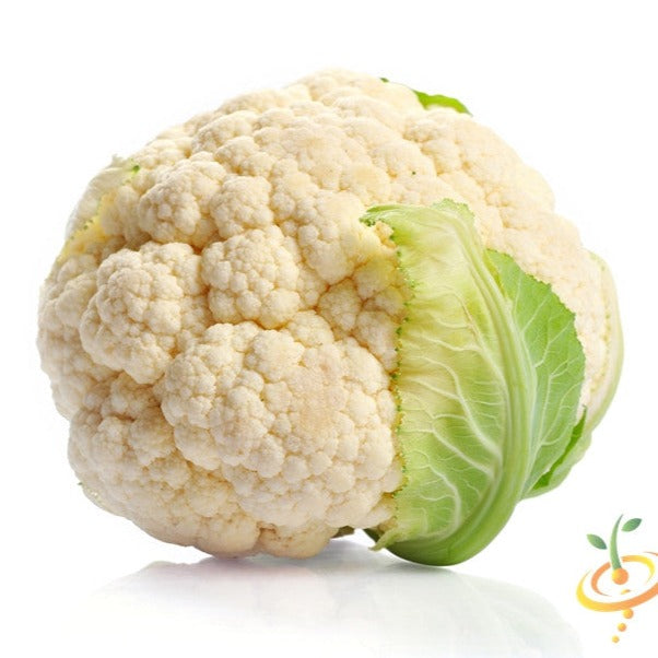 Cauliflower - Snowball/Self-blanche (White) - SeedsNow.com