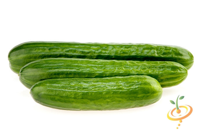 Cucumber - Tendergreen Burpless.