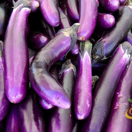 Eggplant - Long Purple Italian