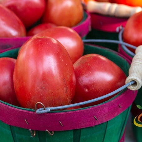 Close-up of ripe Roma tomatoes in green baskets with purple rims, showing smooth, egg-shaped plum tomatoes ideal for growing from Roma tomato seeds
