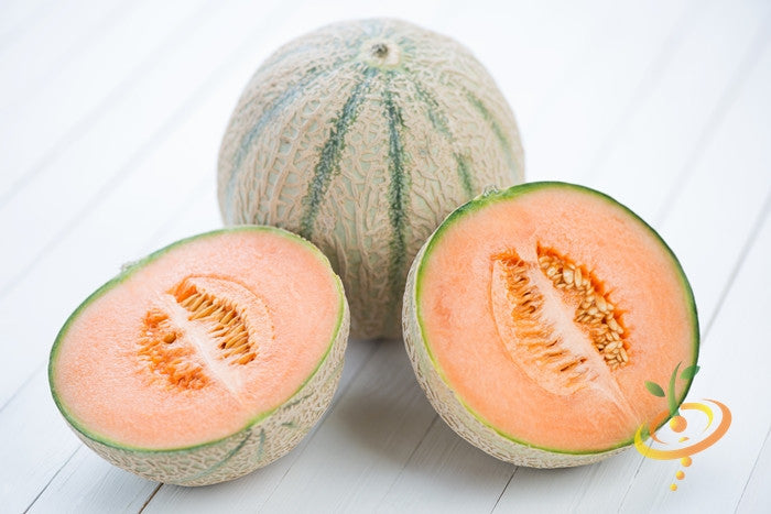 Melon - Hales Best Jumbo.