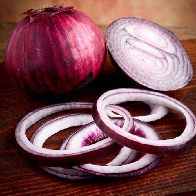 Onion - Red Burgundy (Short Day)
