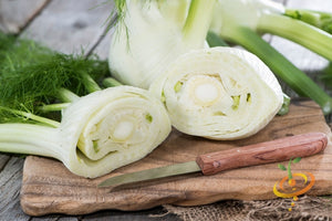 Fennel.