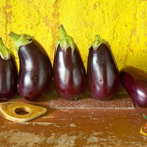 Eggplant - Blackbeauty