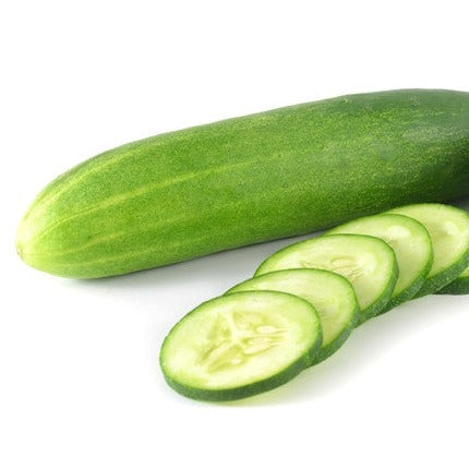 Cucumber - Everbearing