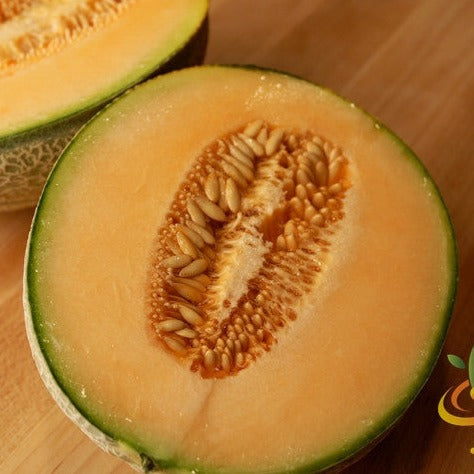 Melon (Cantaloupe) - Honey Rock - SeedsNow.com