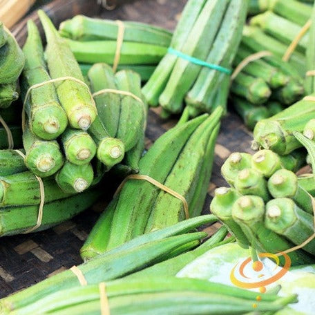 Okra - Dwarf Long Pod - SeedsNow.com