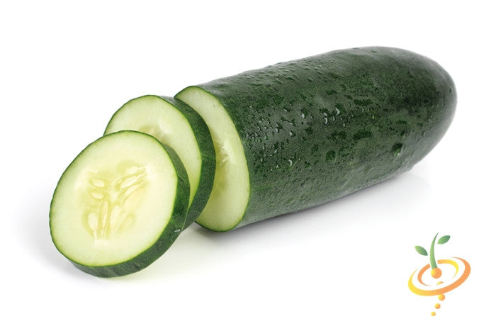 Cucumber - Straight 8.