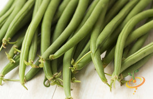 Bean (Bush) - Top Crop.