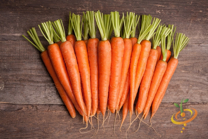 Carrot - Tendersweet, 7" Long